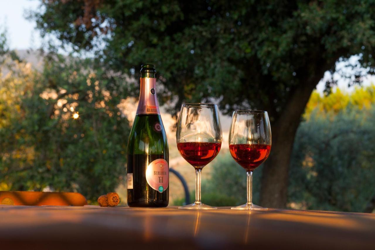 Agriturismo La Panoramica Βίλα Ασίζη Εξωτερικό φωτογραφία